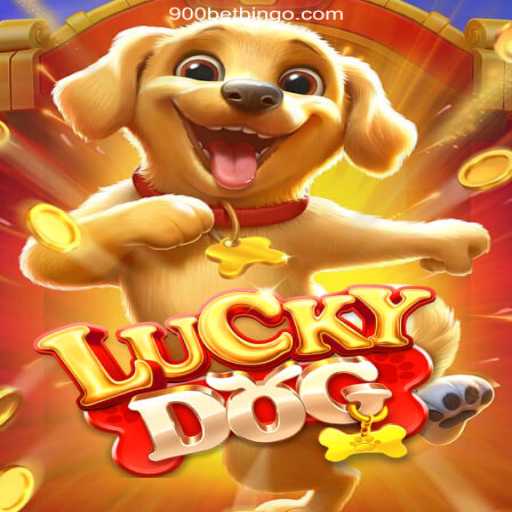 Exploring LuckyDog: The Exciting World of Brazil's Leading Betting Platform 900bet