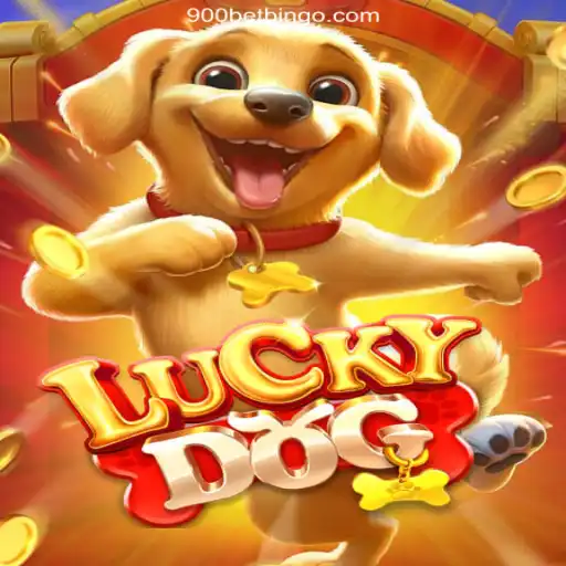 Exploring LuckyDog: The Exciting World of Brazil's Leading Betting Platform 900bet